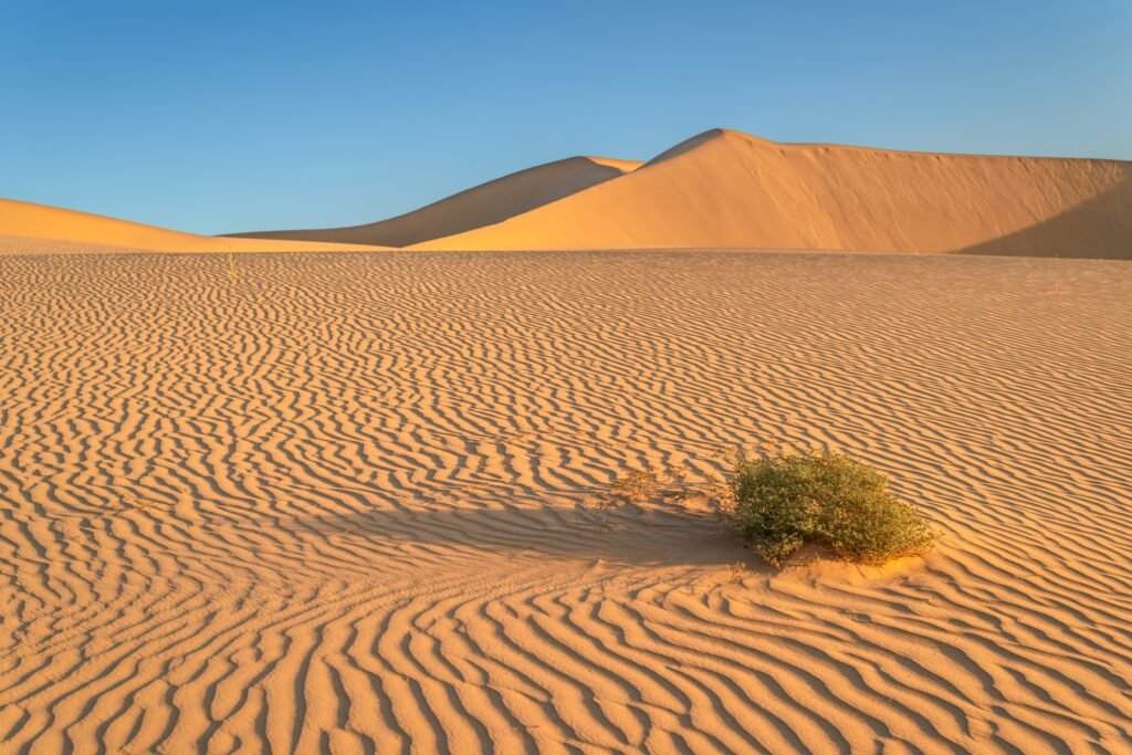 Sand dunes in the desert