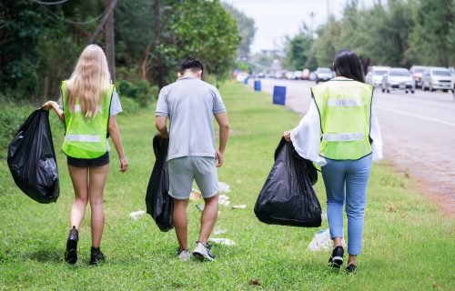 Kurumsal Sosyal Sorumluluk (KSS) faaliyeti. Kurumsal Sosyal Sorumluluk. Gönüllüler. Çevre sorunu. Çevre günü